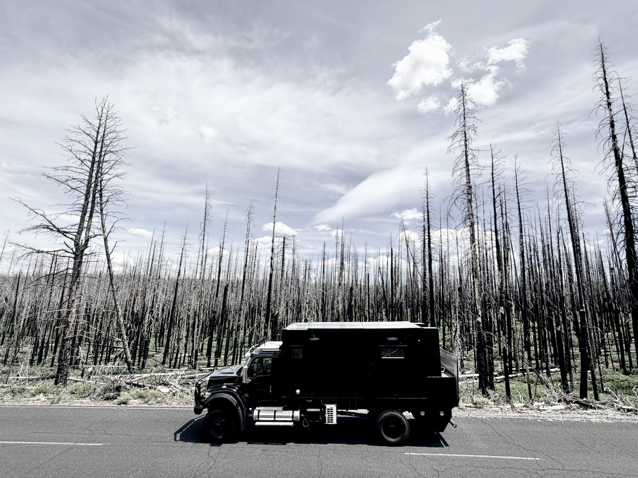 NIGHT KNIGHT in burned forest